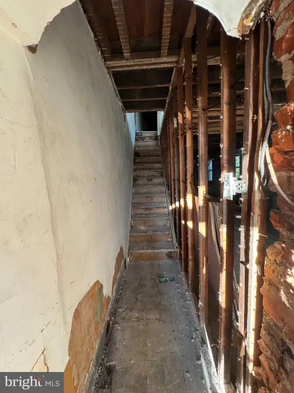 Picture 15