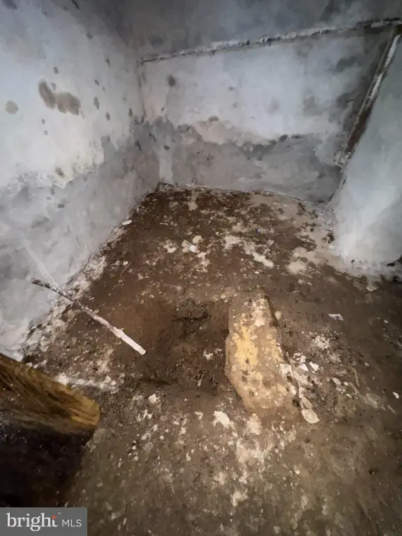 Picture 29