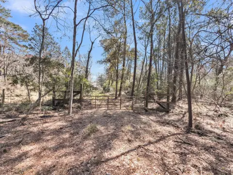 Secluded Edisto Island Land Parcel