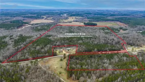 140 Acres Hunting Land, Opelika