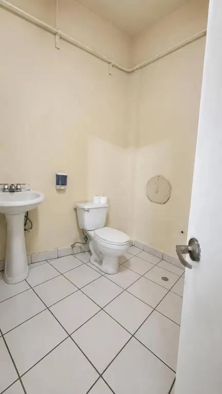 Picture 19