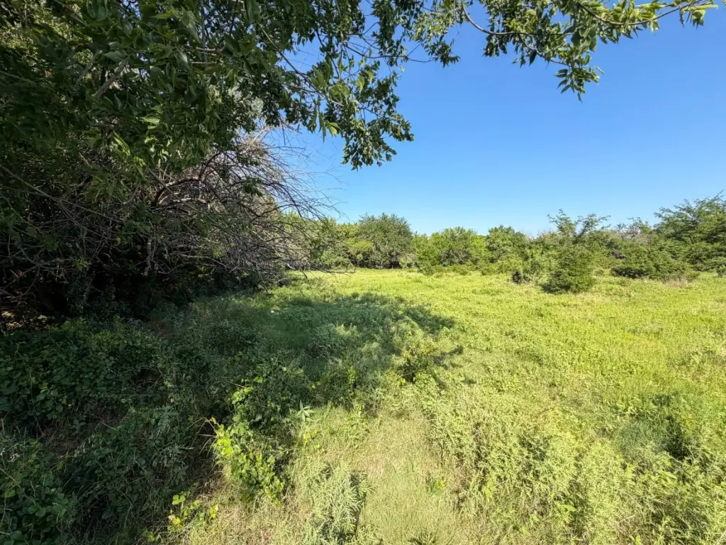 Picture 22