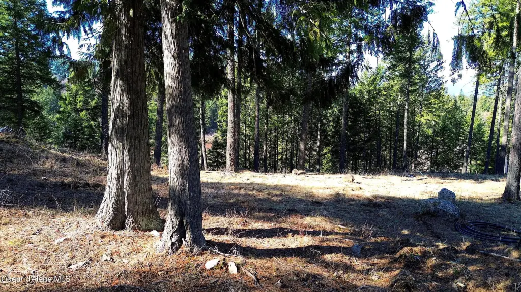 Picture 23