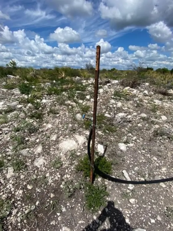 Picture 24