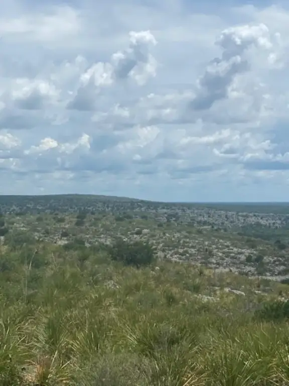 Picture 10