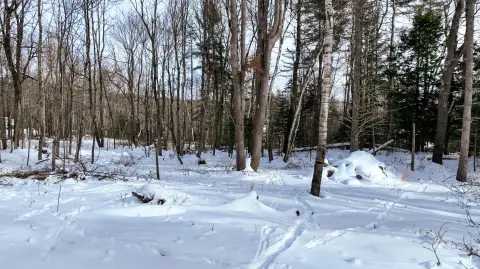 Brooks, ME: 5 Acre Land