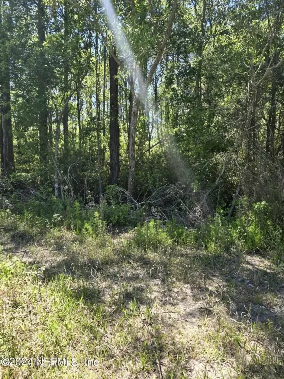Picture 4