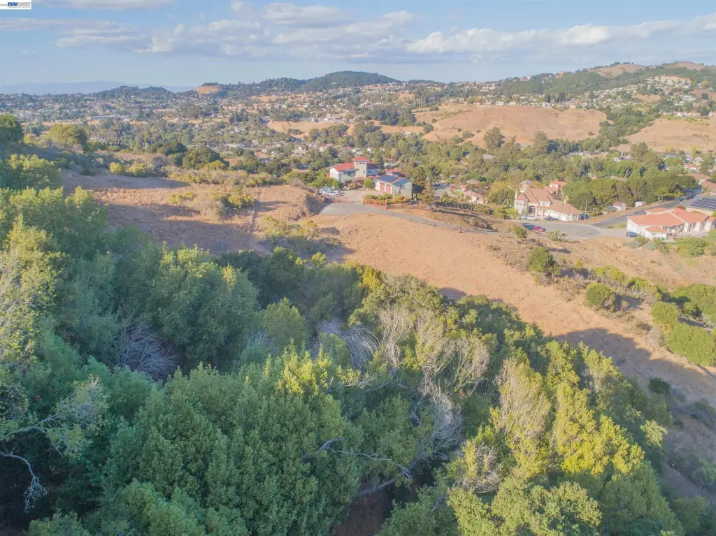 Picture 40