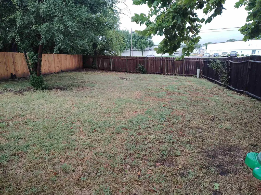 Picture 10