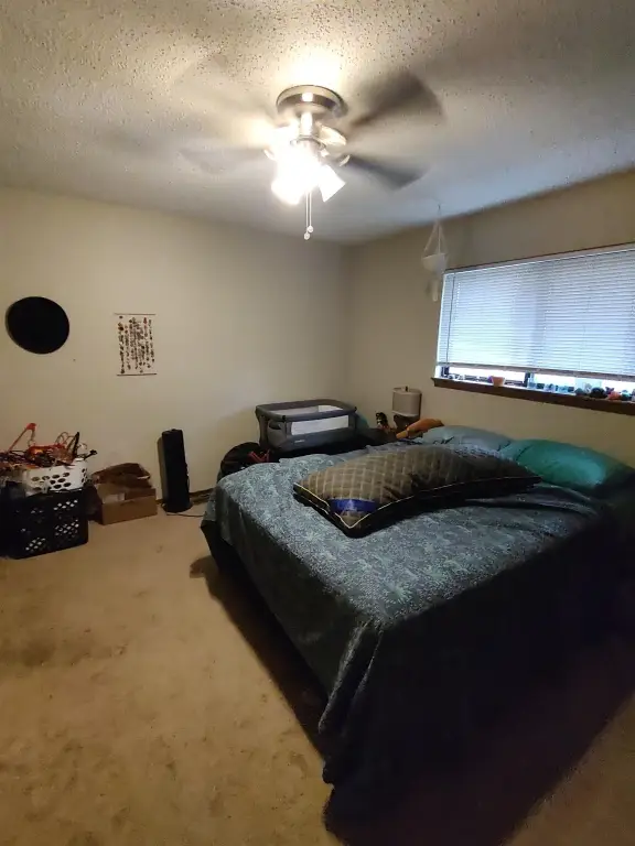 Picture 4