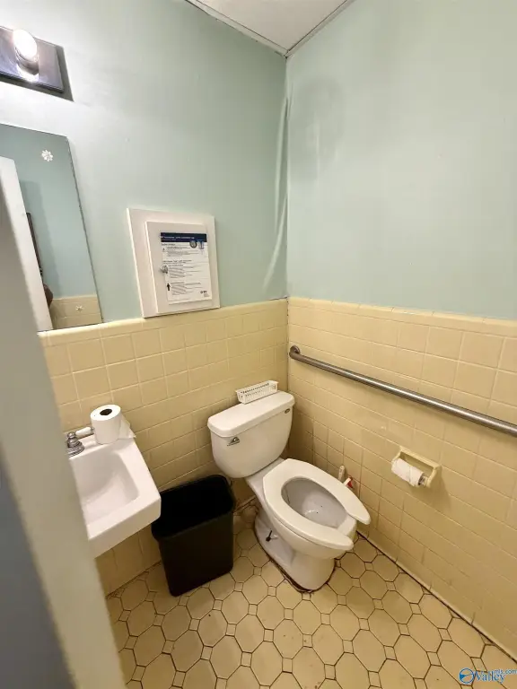 Picture 7