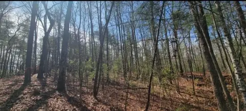 Land in Smoky Mountains Foothills