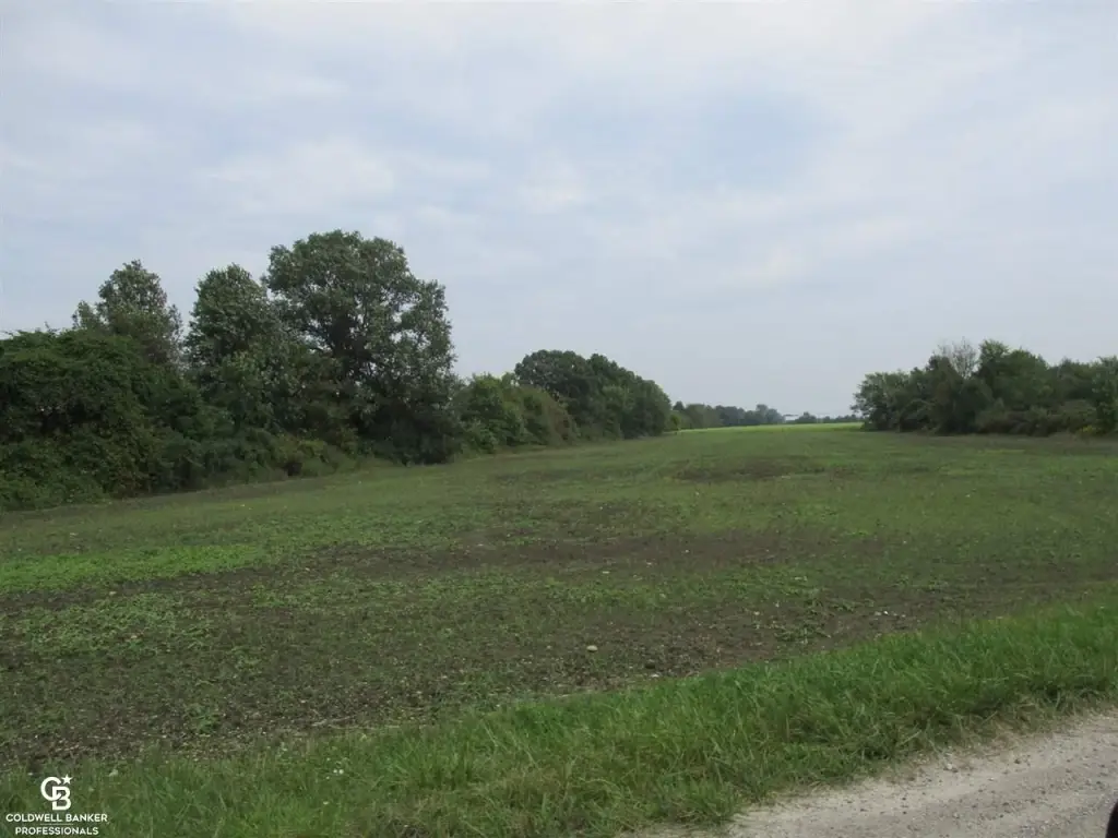 Picture 3