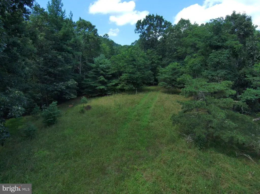 Picture 6