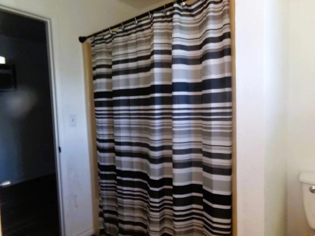 Picture 12