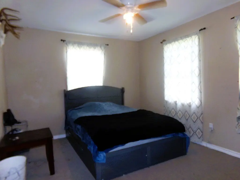 Picture 13