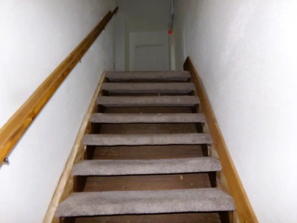 Picture 10