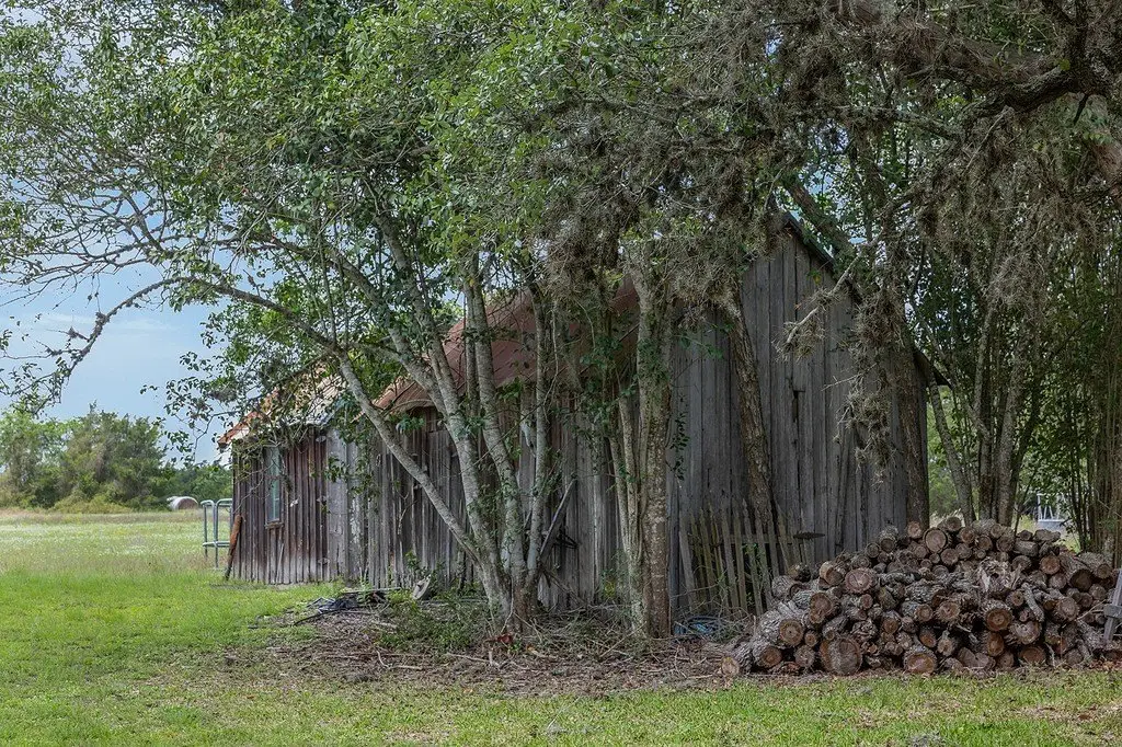 Picture 27