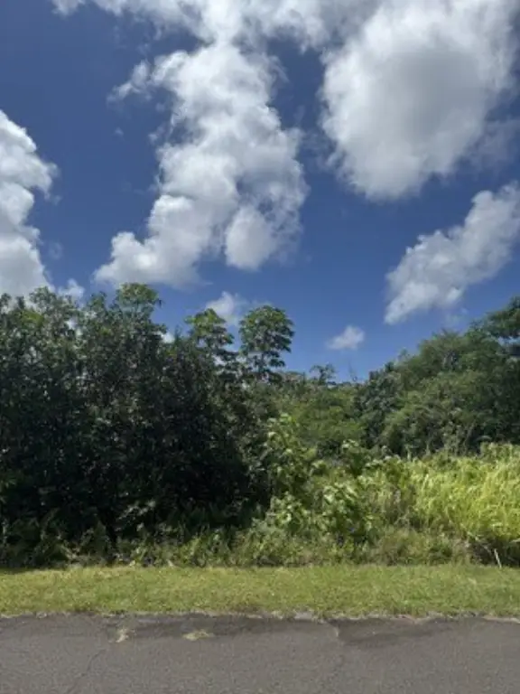 Picture 21