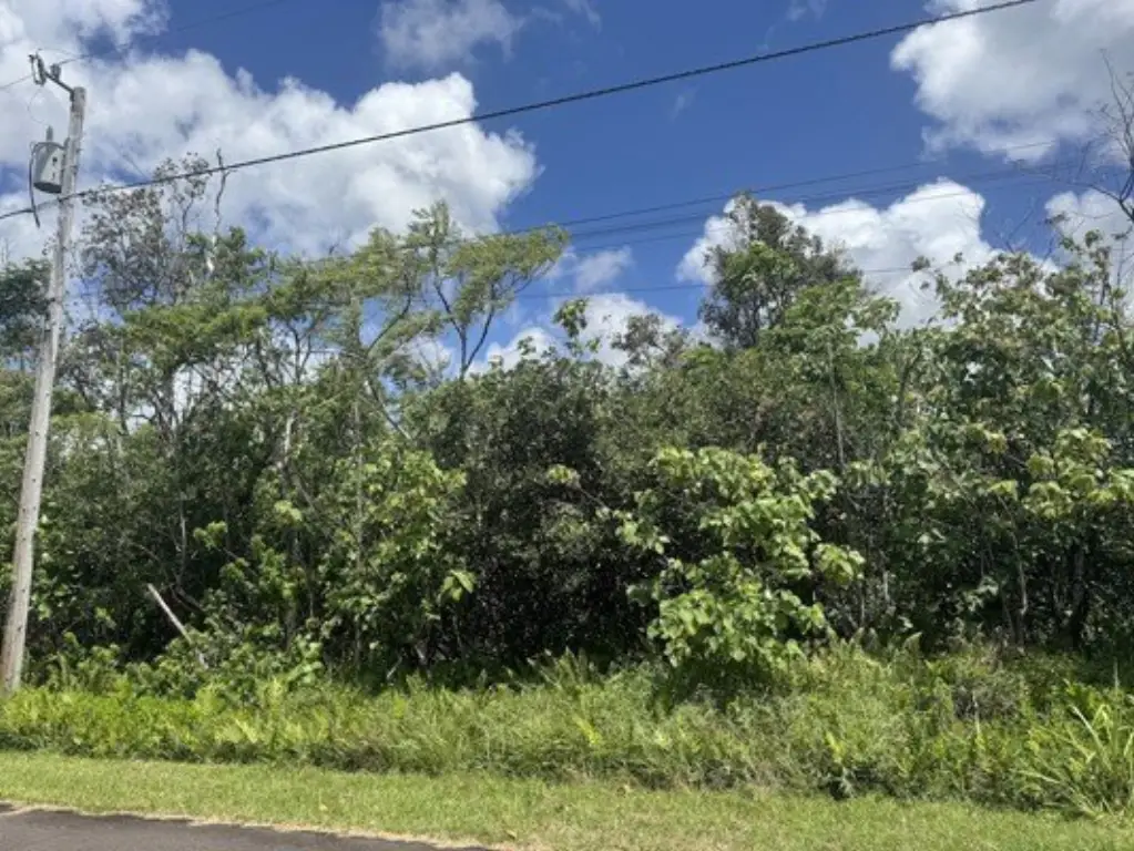 Picture 17
