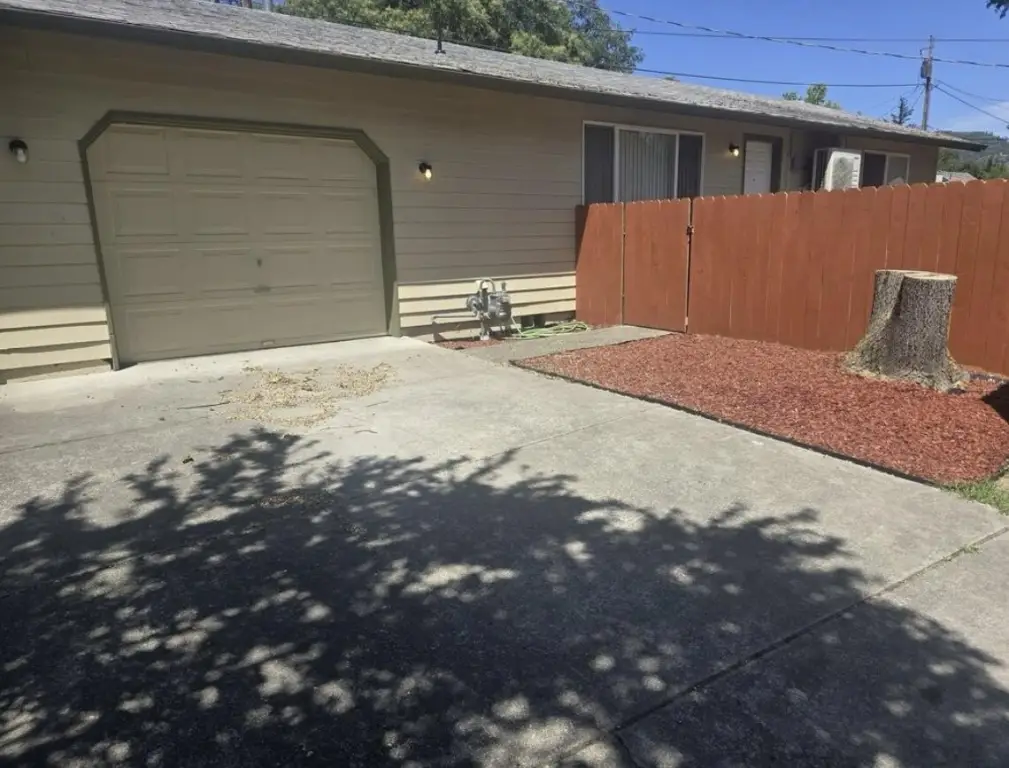 Picture 11