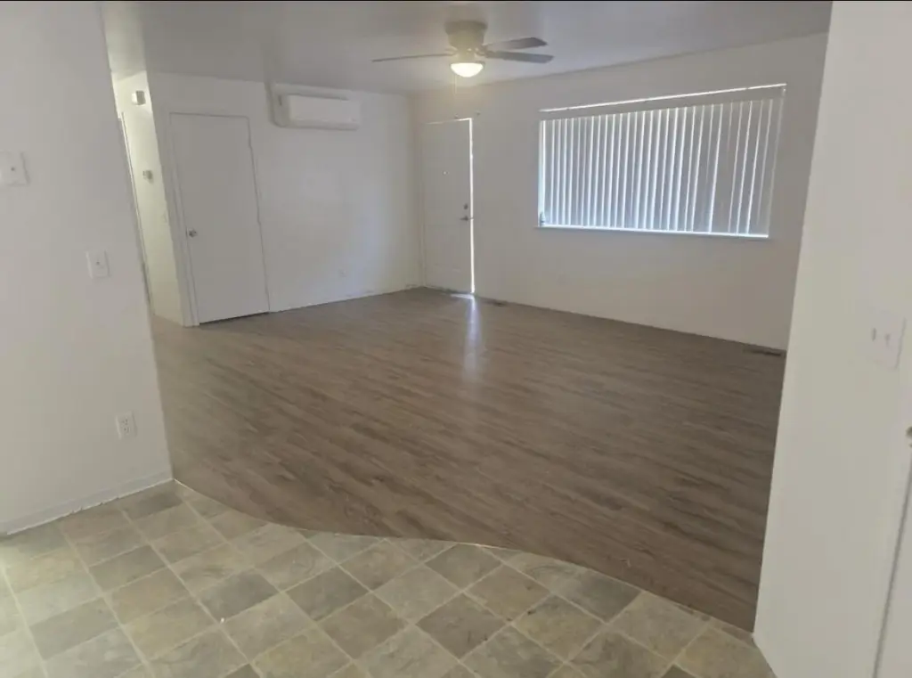 Picture 14