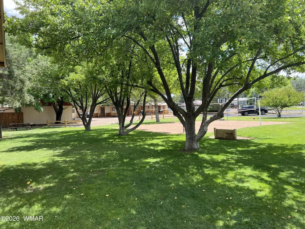 Picture 32