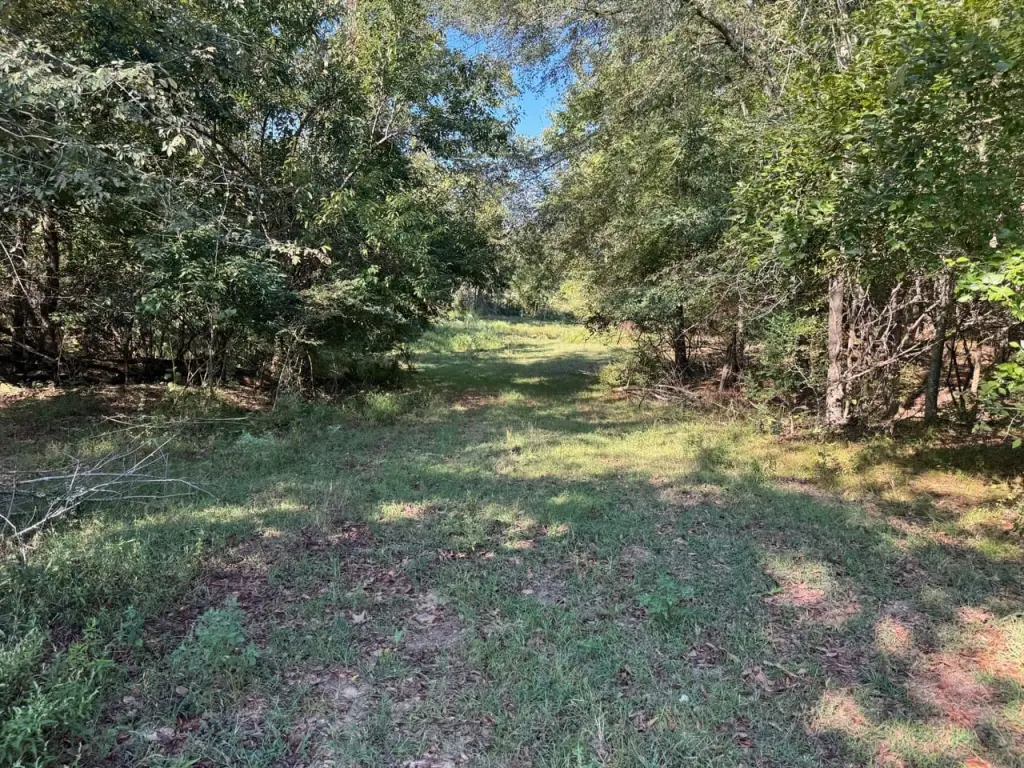 Picture 15