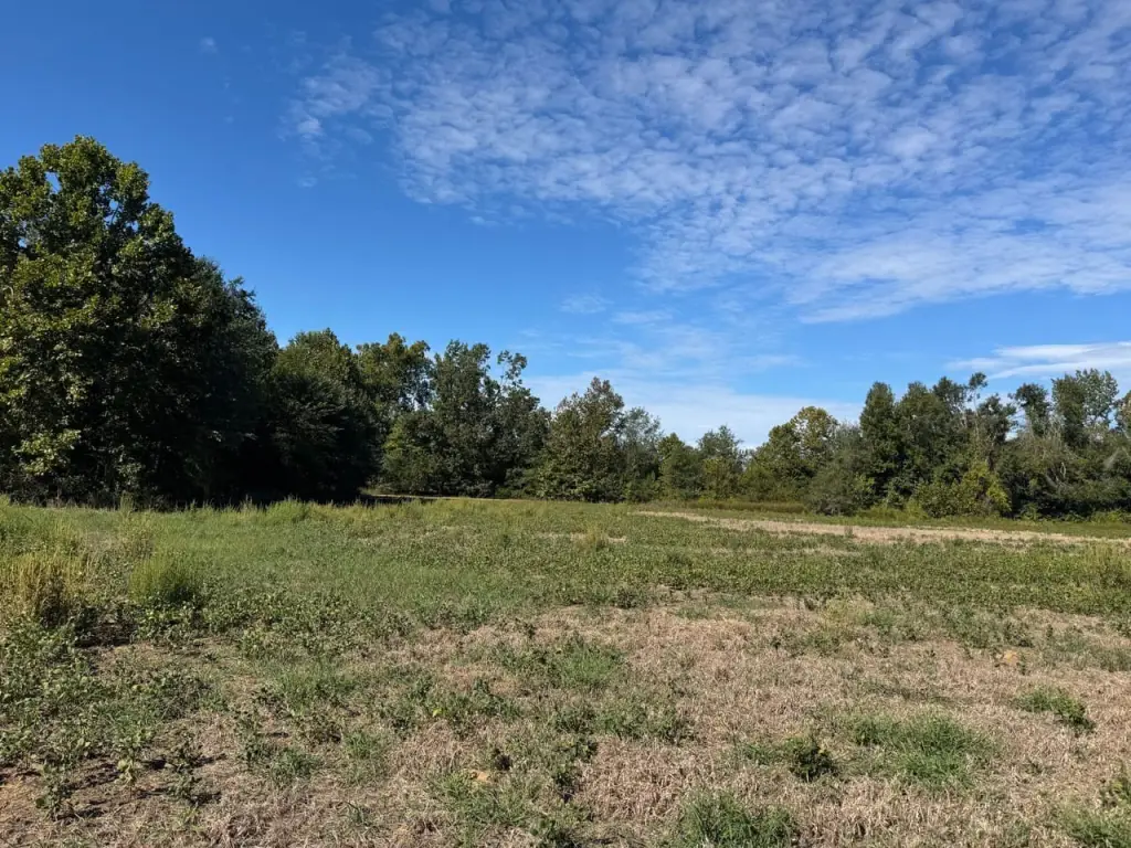 Picture 28