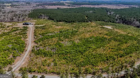 Taylorsville Timber Tract Land
