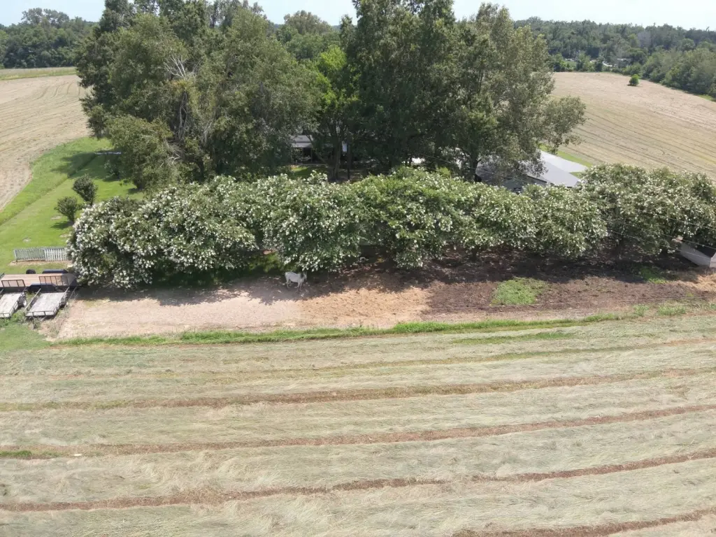 Picture 18