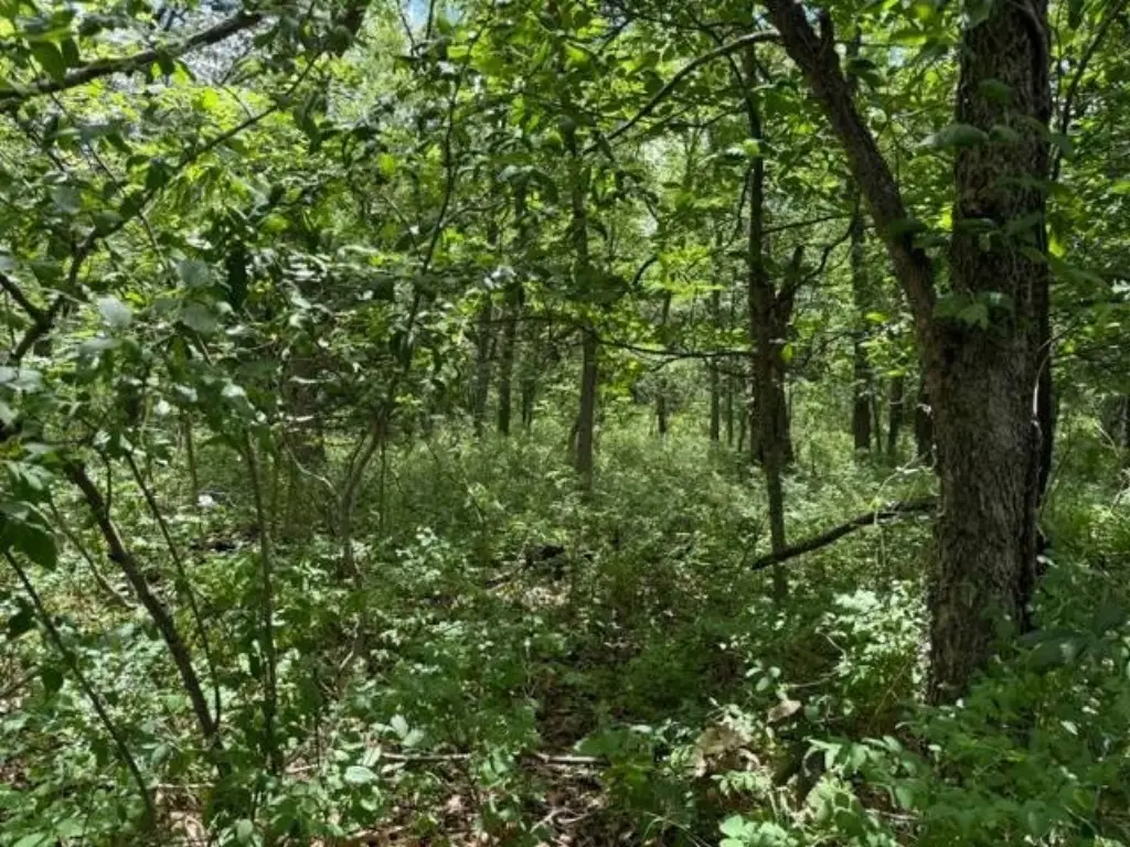 Picture 10