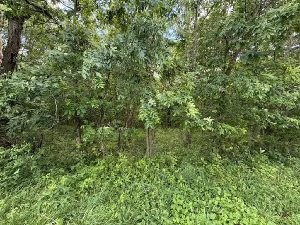 Picture 3