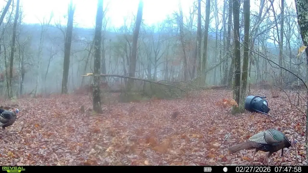 Picture 3