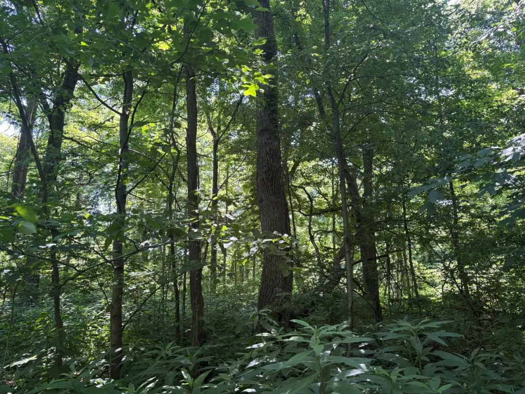 Picture 42