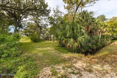 Port Orange Land Opportunity