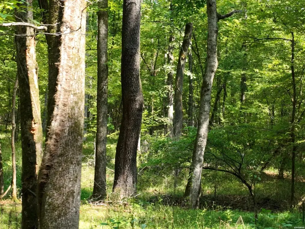 Picture 24
