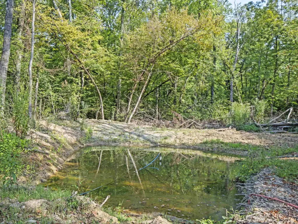 Picture 27