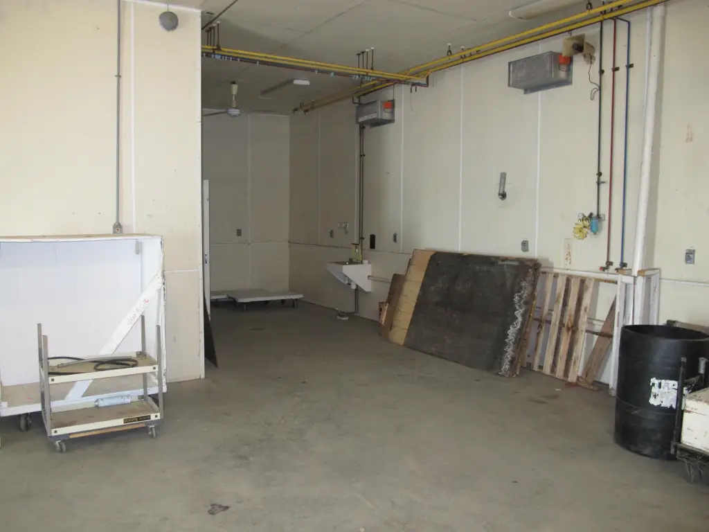 Picture 11