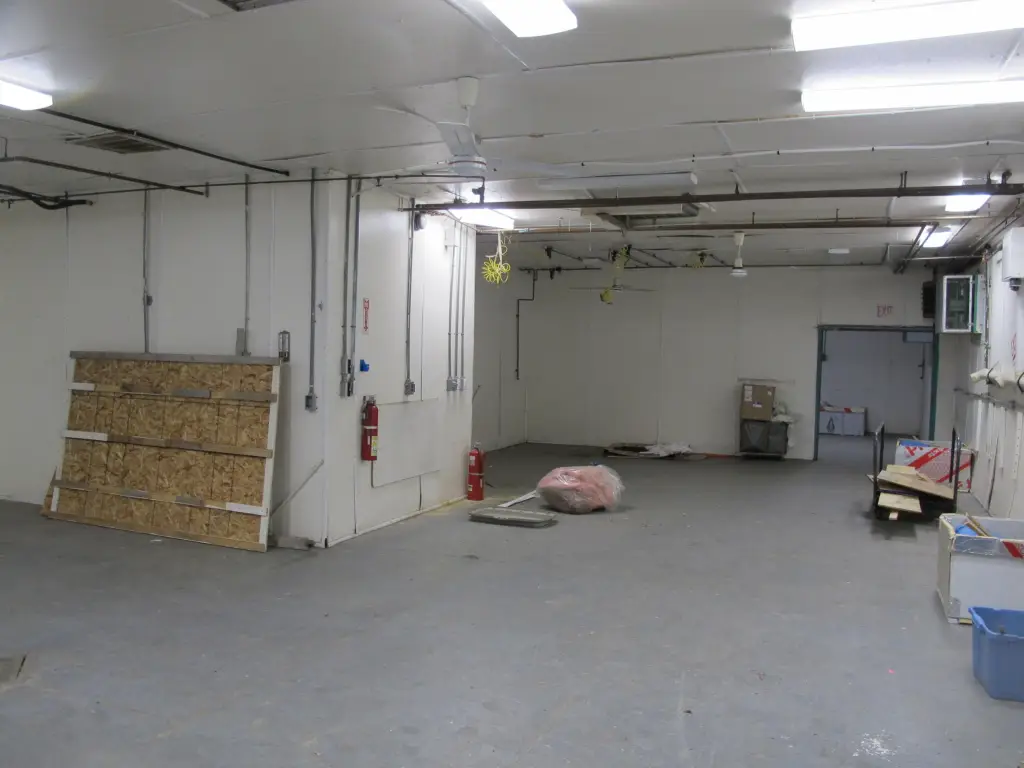 Picture 6