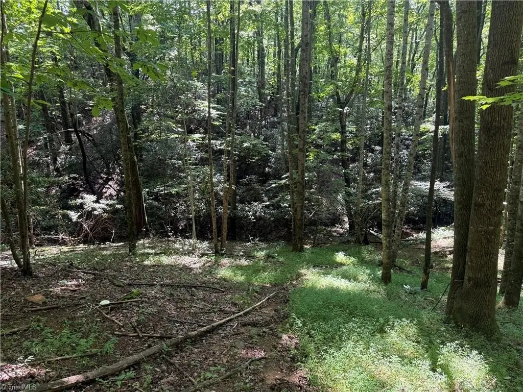 Picture 19