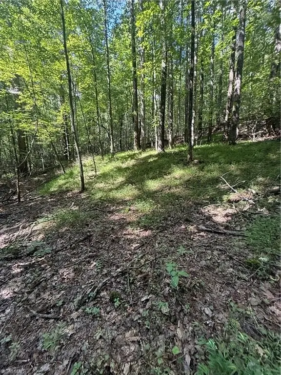 Picture 15