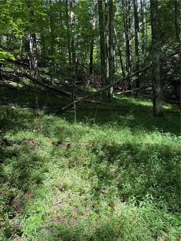 Picture 16