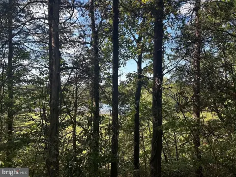 Wooded Lot with Mountain Views