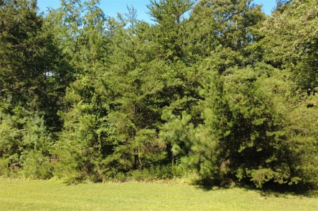 Picture 10