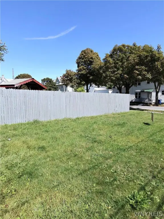 Picture 5