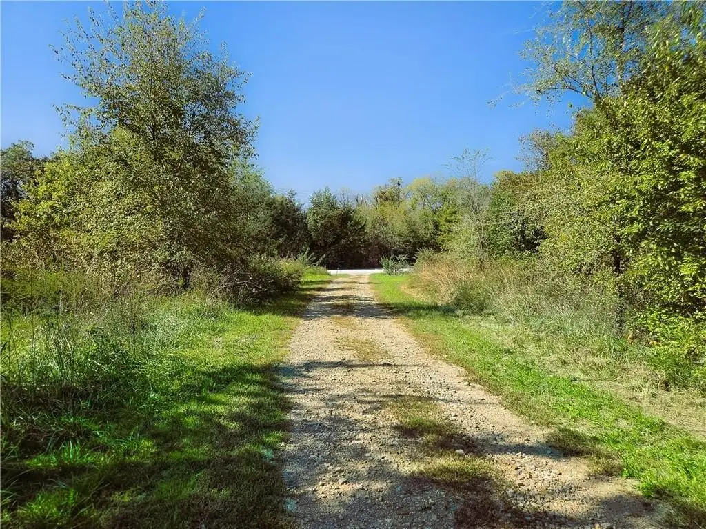 Picture 13