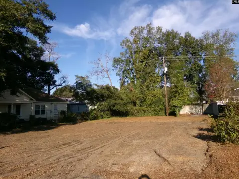 Residential Building Lot in West Columbia