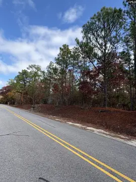 Residential Land in Swansea, SC