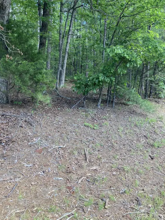 Picture 3